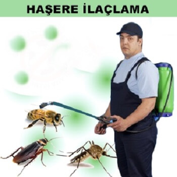 Çay Böcek İlaçlama